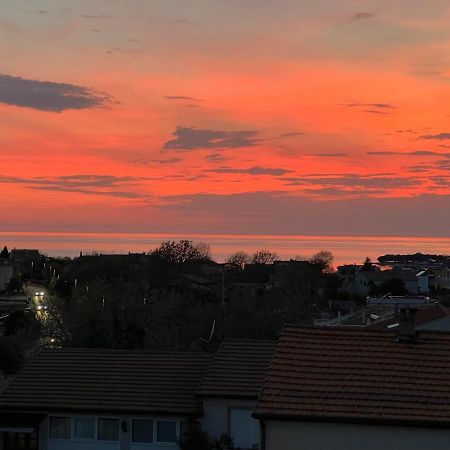 Maj Premium Apartment 4 Sterne - Neu Renoviert Poreč Eksteriør billede