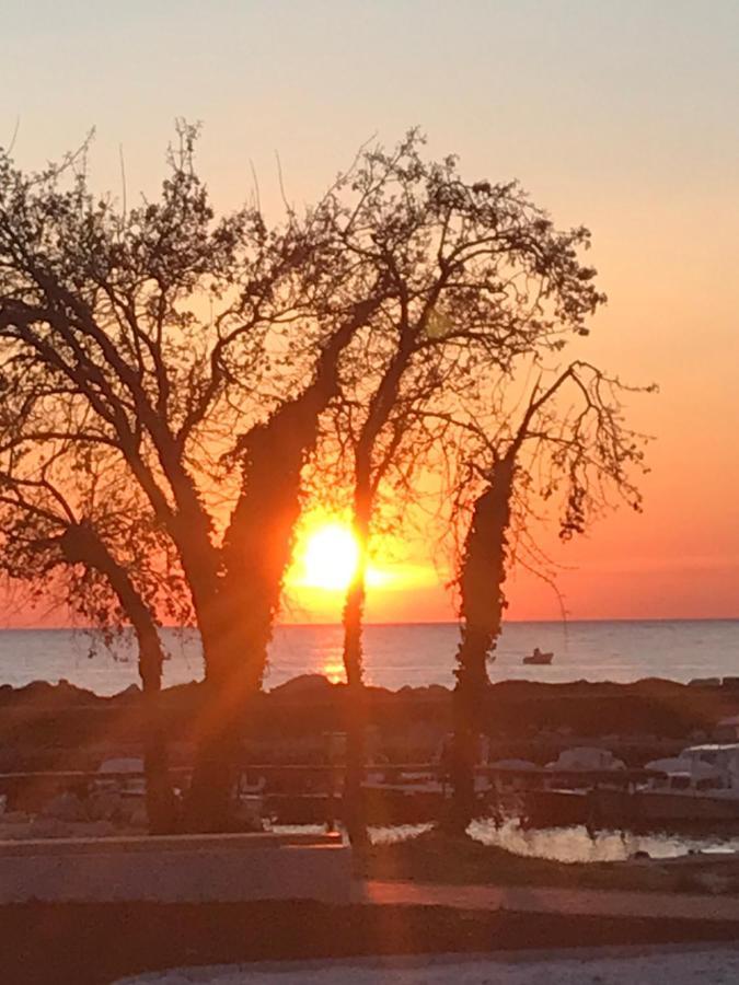 Maj Premium Apartment 4 Sterne - Neu Renoviert Poreč Eksteriør billede
