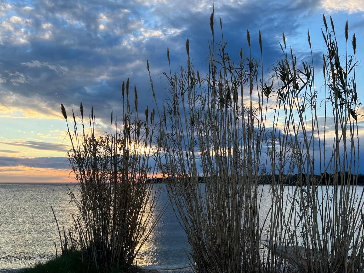 Maj Premium Apartment 4 Sterne - Neu Renoviert Poreč Eksteriør billede