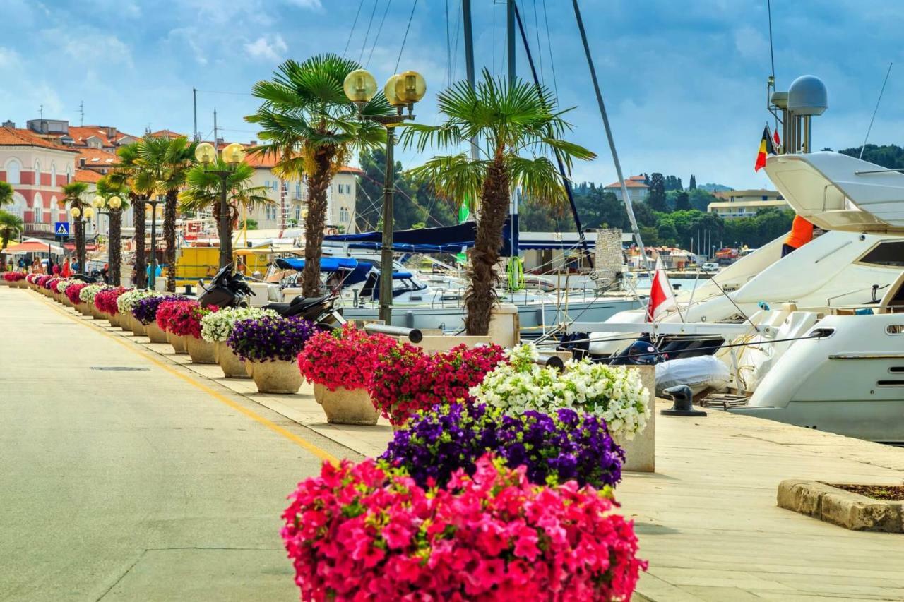 Maj Premium Apartment 4 Sterne - Neu Renoviert Poreč Eksteriør billede